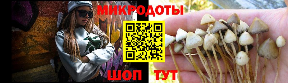 Псилоцибиновые грибы MAGIC MUSHROOMS Ачхой-Мартан